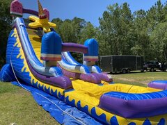 24ft Ice Cream Water Slide