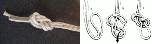 Demonstration of a proper figure-8 knot.