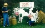 Cow Milking Contest