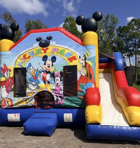 Mickey Park Combo