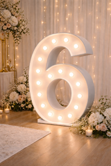 3ft Marquee Number 6