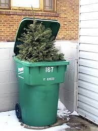 Tree Haul Away and Disposal