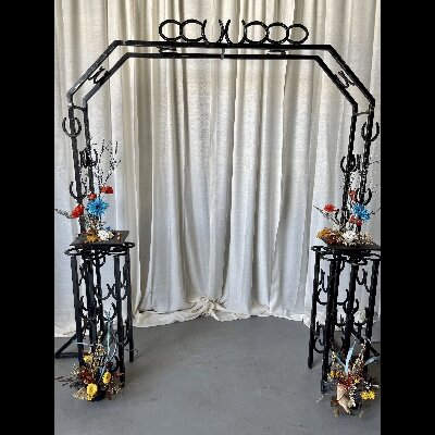 Western Black Horseshoe