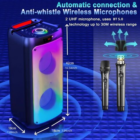 Karaoke and PA System