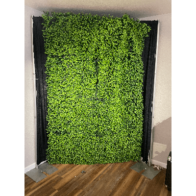 10ft x 10ft Grasswall Decoration