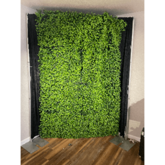 10' x 10' Grasswall Decoration
