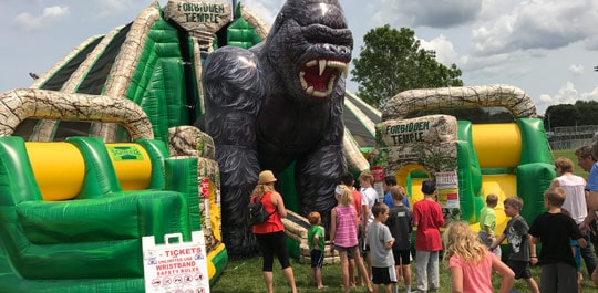 MN Vikings Bounce House with Slide Rental