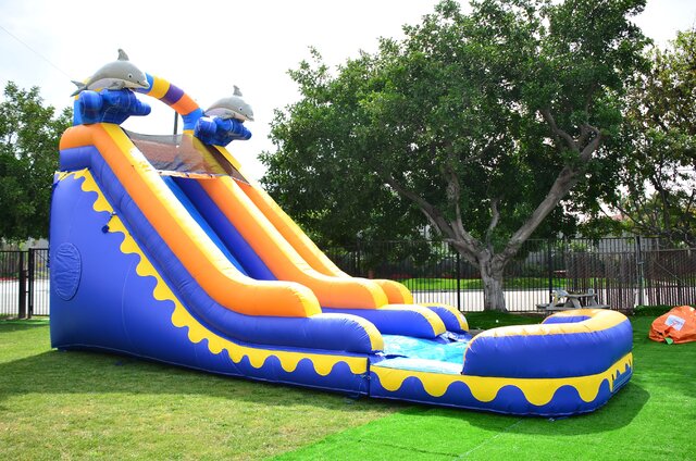 18 Ft Dolphin Water Slide with Pool  -