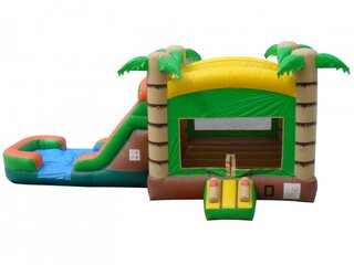 13 X 28 Palm Tree Water Combo Wet / Dry