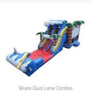 Shark Sighted Dual Lane 6 in 1 Combo with Splash Pool