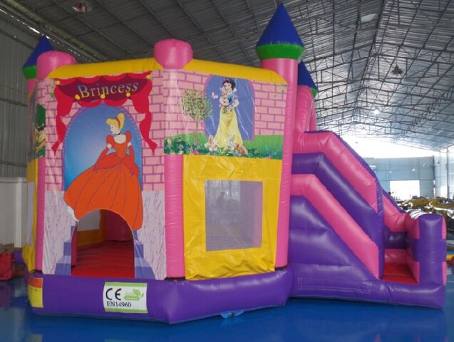 17 X 20  Princess Castle Combo