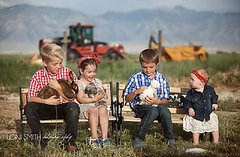 Pocket Pets Petting Zoo - at your location