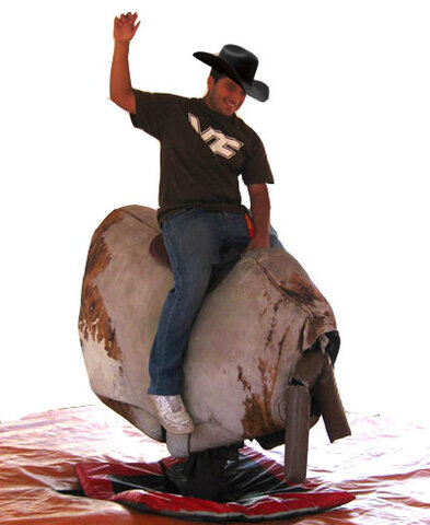 (D) Pro Mechanical Bull