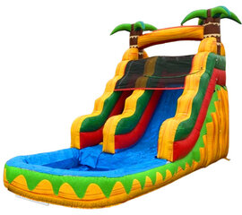 (A) 15ft Palm Wet-Dry Slide
