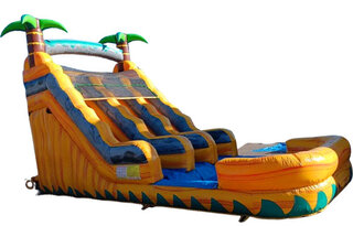 (C) 18ft 349 Dual Palm Waterslide