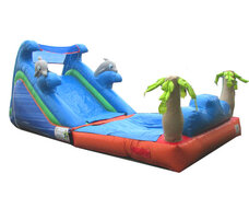 (A) Dolphin Wet-Dry Slide