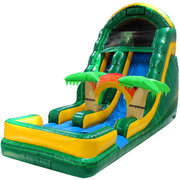 (B) 17ft Palm Tree Wet-Dry Slide
