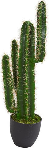 Artificial Cactus Plants Bundle