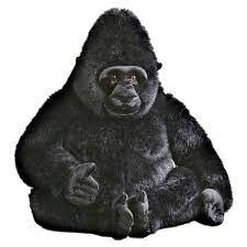 BLACK GORILLA