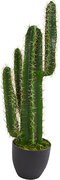 Artificial Cactus Plants Bundle