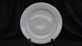 China Plate white 10.5”