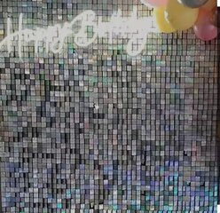 Shimmery Wall Holographic Silver 