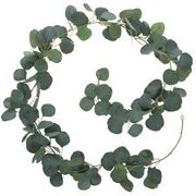 Eucalyptus Garland 