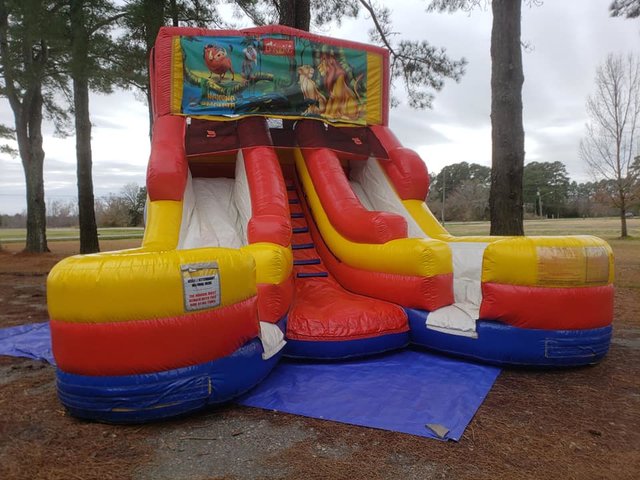 Lion King Double Wet Slide
