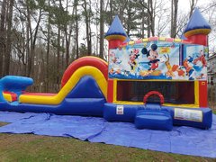 Mickey Mouse Castle Single Slide Wet Combo