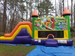 Winnie Pooh Castle Double Slide Dry Combo