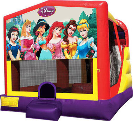 Disney princess 4 in 1combo (dry)