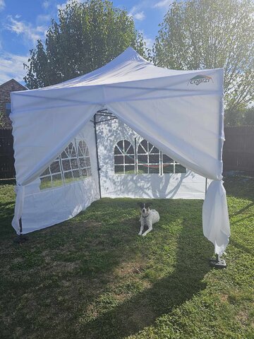 Canopy 10 x10