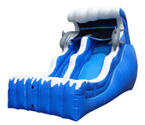 18 ft Dolphin Water Slide