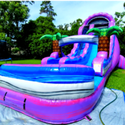 18ft. Purple Plunge Water Slide 