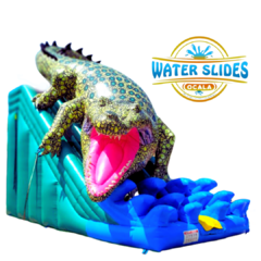 Gator Bait Dry Slide (Not a Water Slide) 
