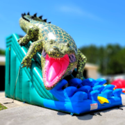 Gator Bait Dry Slide (Not a Water Slide) 