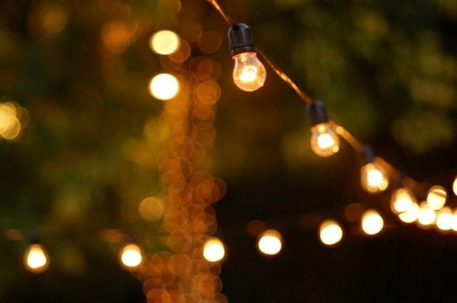 Edison Festoon Tent Lights (Per Foot)