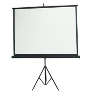 Projector and Screen 