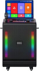 Premium Karaoke Machine with Touchscreen & Wireless Microphones