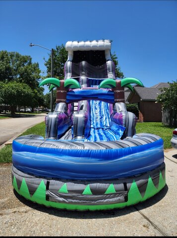 22ft Purple Tropical Waterslide