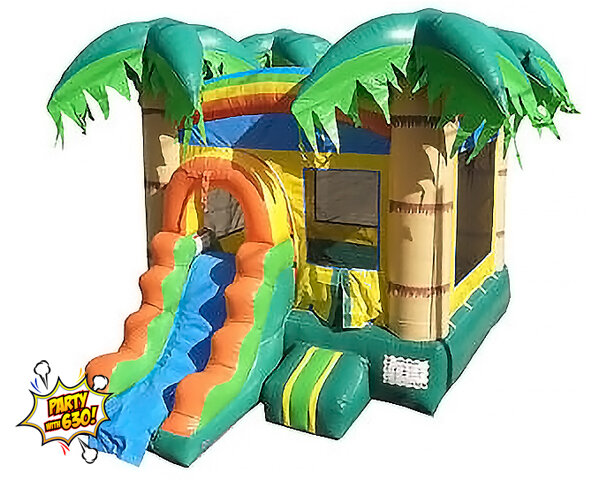 163 - 13x22 Tropical Jump and Dual Lane Small Slide