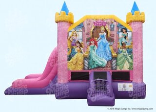 Disney Princess! Castle Combo Dry