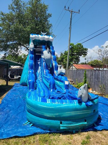 19 Dolphin 🐬 waterslide