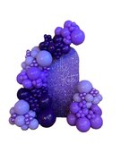 Professional Balloon Designs