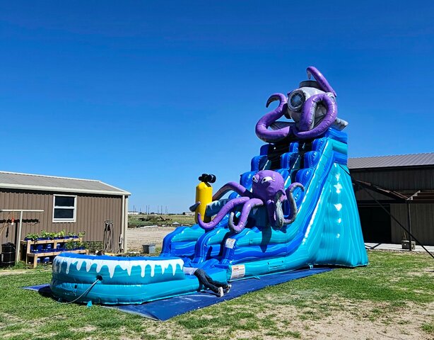 20 ft Mr. Octopus 