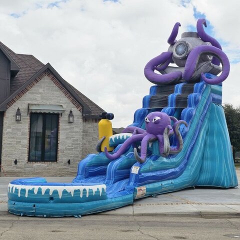 20 ft Mr Octopus Water Slide