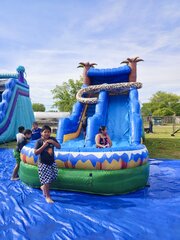 18 ft Jaguar Water Slide