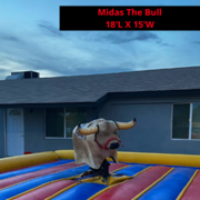 Midas The Bull