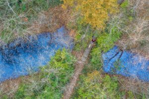 An overview of a man walking his dog in a park in Decatur