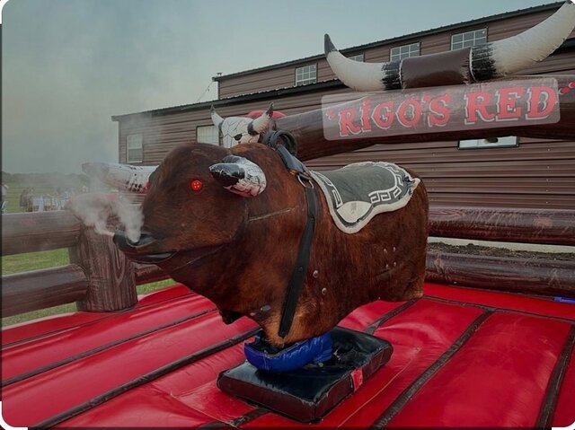 Mechanical Bull